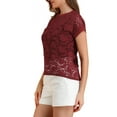 thumbnail image 5 of Allegra K Women's Casual Sheer Short Sleeves Floral Lace Top, 5 of 8