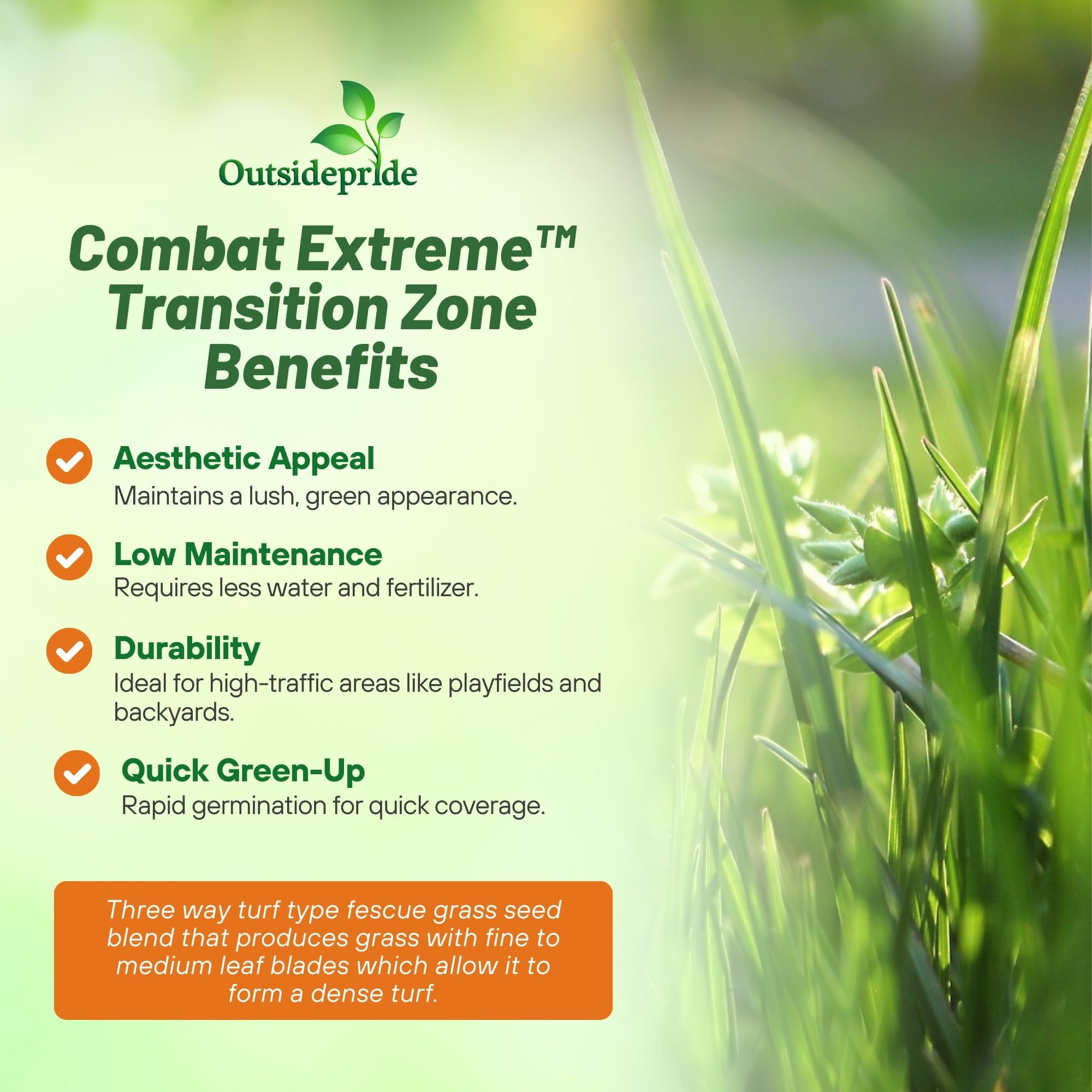 Outsidepride 5 lb. Combat Extreme Turf Type Fescue Lawn Grass Seed Blend for Transition Zone