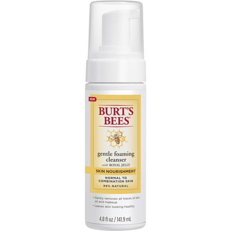 Burt's Bees Skin Nourishment Gentle Foaming Cleanser for Normal to Combination Skin, 4.8 (Best Foaming Cleanser For Combination Skin)