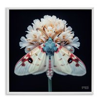 Stupell Industries Moth & White Flowers Animals & Insects Painting White Framed Art Print Wall Art, 17 x 17