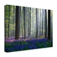 thumbnail image 4 of Adrian Popan 'Bluebells' Canvas Art, 4 of 4