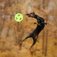 thumbnail image 3 of Dog Flying Disc Toy,Soft Teeth Cleaning Dog Flying Disc Toy, Interactive Silicone Chew Toy For Outdoor Training, 3 of 8