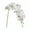 White, variant on Fall Flowers Artificial for Decoration - Dienrx Flowers Faux Butterfly Orchid 1 Pc Real Double Branch Silk Flowers for Wedding Home Party Hotel Yard Decoration Restaurant Patio Festive Furnishing