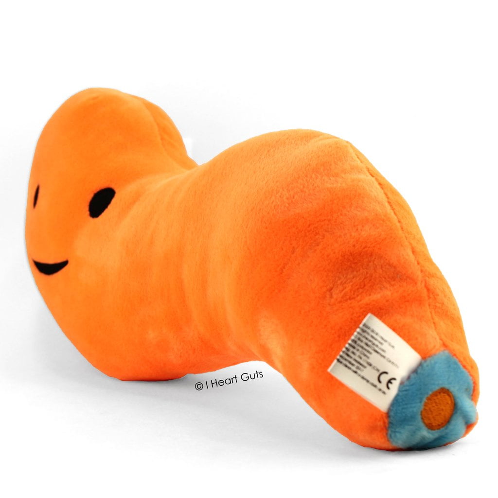 plush appendix