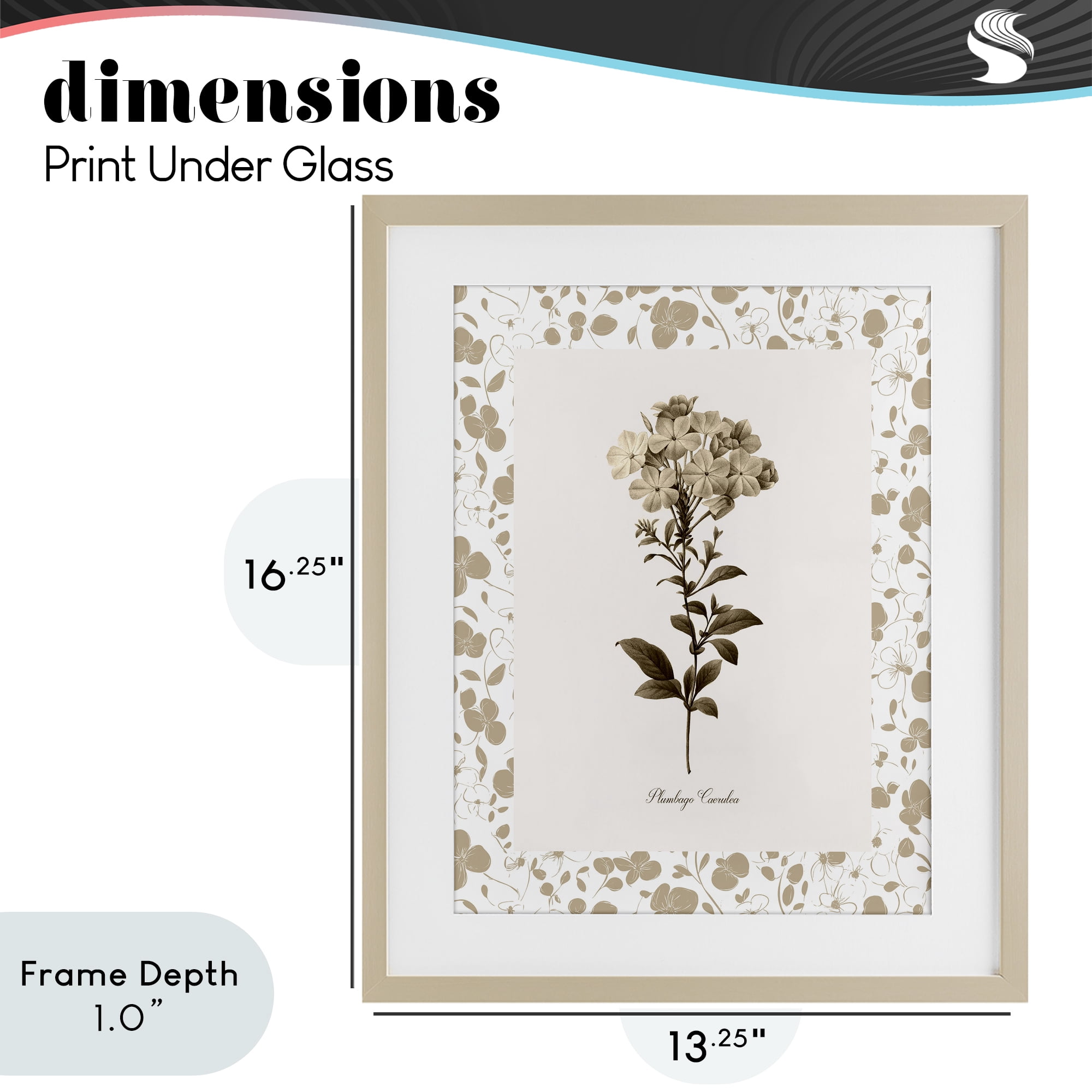 Stupell Industries Neutral Imperial Botanical Birch Framed Print Under Glass, design by Kelly Donovan