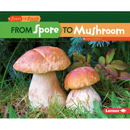 From Spore to Mushroom - eBook (Best Mushroom Spores To Grow)