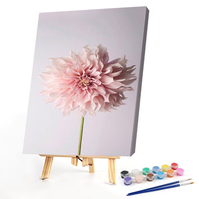 Cuadros Decorativos Pintura al óleo de arte de pared de flores rosadas por póster de número pintura Likrtyny embutido en tela