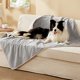 thumbnail image 1 of Manta Impermeable para Perros Bedsure para Perros Grandes y Gatos, 1 of 8