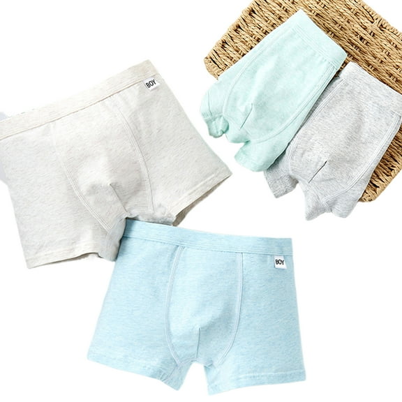 YTDSCS Teenage Boys Soft Cotton Underwear Boxer Briefs Developmental Dinosaur Four Corners Shorts 4pack Size L-4XL