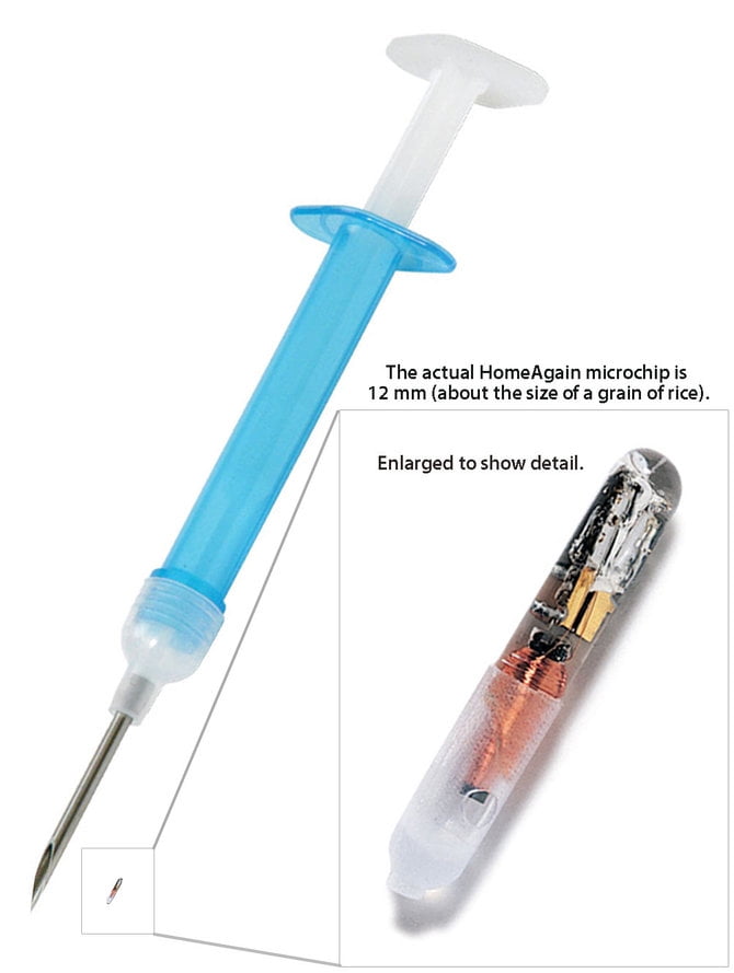 Membership Homeagain Cost Pet Recovery Home Again Replacement Tag