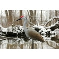 thumbnail image 2 of Flambeau Sandhill Crane Decoy, 2 of 2