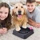 thumbnail image 4 of Comedero lento para perros y gatos. Plato interactivo de plástico para comida. Solución para la hora de comer en interiores., 4 of 4