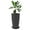 Black, variant on Gamexcel 12inch Round White Resin Planter with Drainage Holes Modern indoor/Outdoor Garden Patio Deck