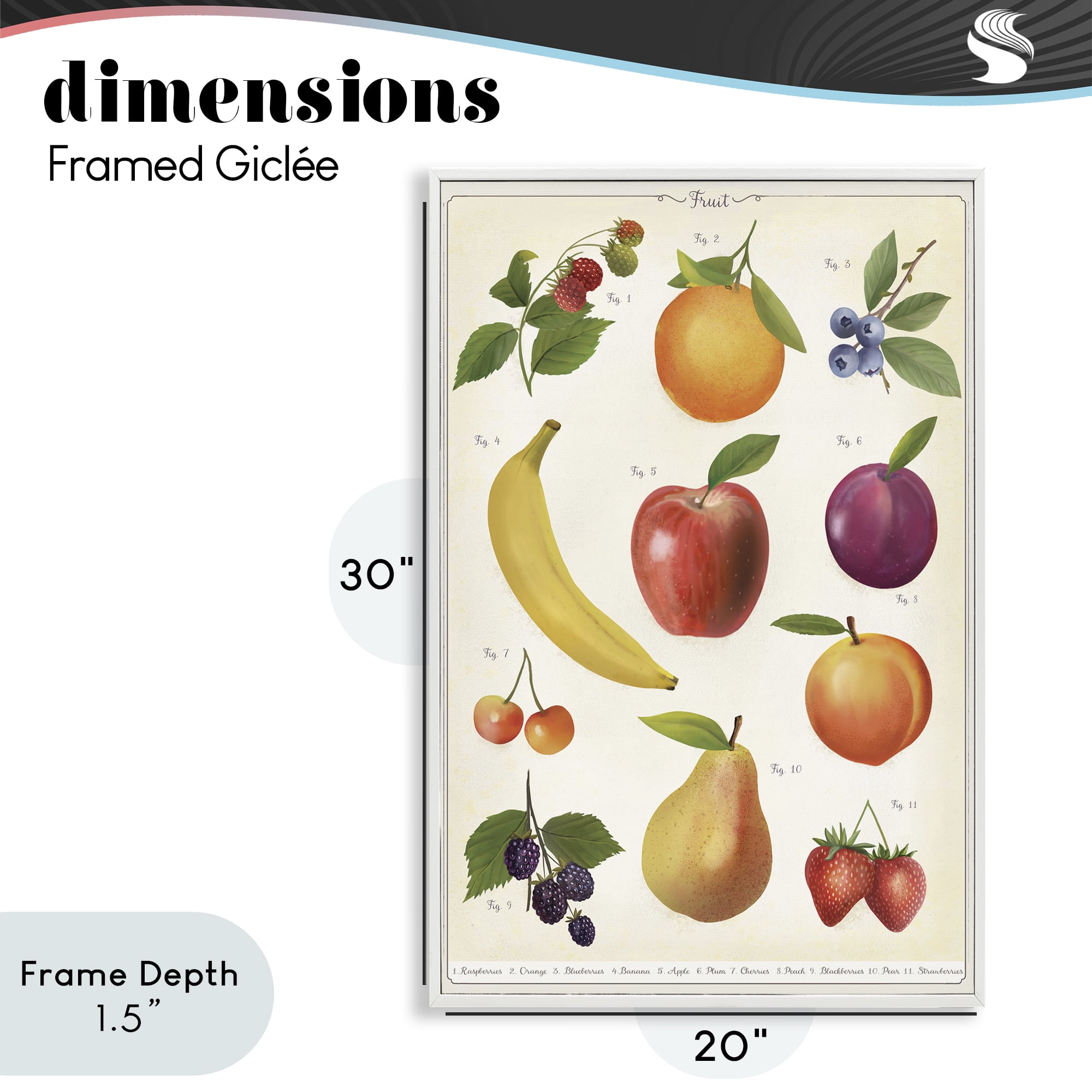 Stupell Industries Fruit Collection Studies White Framed Giclee Art, design by Diane Neukirch
