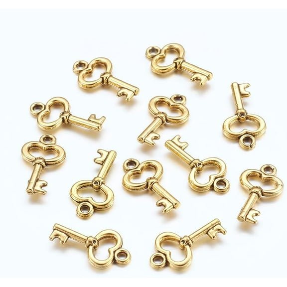 50 Pcs Skeleton Key Charms Pendant Tibetan Style Alloy Pendants Jewelry Making Charms Metal Charms Pendant Pendant Ornament Jewelry Craft Making