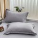 thumbnail image 1 of Juego de fundas de almohada de terciopelo de algodón: funda de almohada resistente a las arrugas y que absorbe la humedad para un cabello y una piel suaves, protector de almohada antideslizante para, 1 of 6