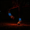 thumbnail image 3 of High Visibility LED Leg Bands For Nighttime Horse Riding And Equine Activity Visibility Enhancement, 3 of 3