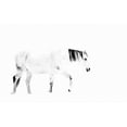 thumbnail image 2 of Tyrrell, Lu Anne 18x13 White Modern Wood Framed Museum Art Print Titled - Equine, 2 of 4