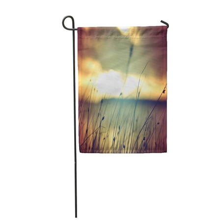 KDAGR Hipster Wild Grasses at Golden Summer Sunset Vintage Landscape Garden Flag Decorative Flag House Banner 12x18 inch