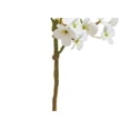 thumbnail image 3 of Raz Imports Floral Pick, White - 15" (F4533107), 3 of 5