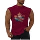 thumbnail image 2 of Camiseta sin mangas de cuello redondo para hombre, informal, a la moda, sin mangas, con estampado, cuello redondo, deportiva, de poliéster, 2 of 5