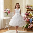 thumbnail image 2 of JCCXIN Toddler Girls Dresses Sparkling Party Dress For Girls Glimmering Sequin Party Gown With Skirt For Stage Performances Wedding Party Girls Clothes 14-15 Years, 2 of 7