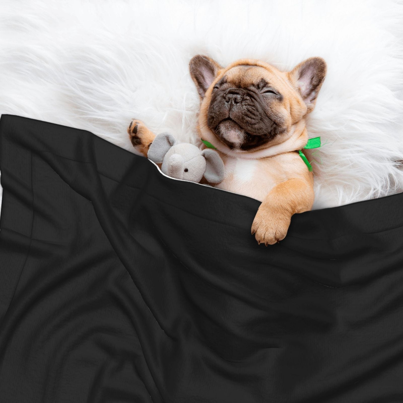 Naloa Black Dog Blanket, 3 Sizes Cat Blanket for Indoor Cats Large Medium Small Dog Gifts-Large