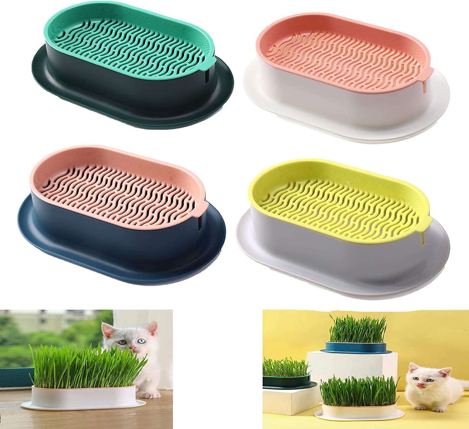 4Pcs Cat Grass Planter Catnip Cat Grass Box Hydroponic Plants Sprout