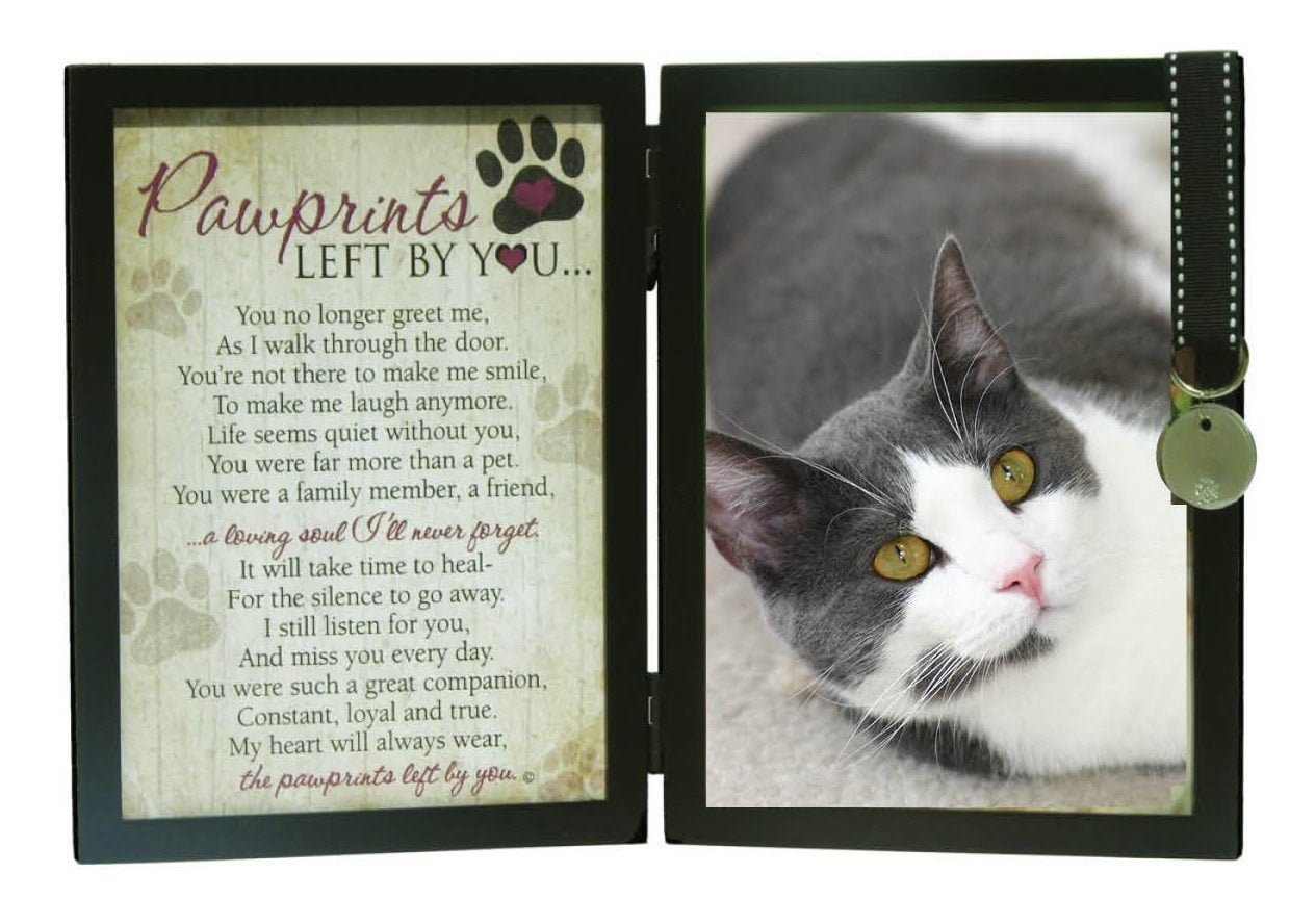 Pet Loss Ceramic Picture Frame Cat Memorial Sympathy Gift in Loving Memory for Cats Home and Office Decor for Cat Lovers-White-6 X 7 Home-X Cat Pet Memorial Picture Frame