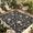 Black, Charcoal, Ash, Slate, variant on Indoor Outdoor Area Rugs,Pastoral Reed Pampas Grass Plant Washable Patio Rug Non-slip Quick Dry Camping Rugs,Autumn Botanical on White Floor Carpet for Porch Deck Backyard RV Decor,4x6ft