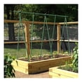 thumbnail image 4 of Garden Stakes 6-Ft for Climbing Plants Supports Pole 20 Pack Rust-Free Plant Sticks Fence Post, 4 of 7