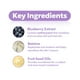thumbnail image 3 of Limpiador facial FRUDIA Blueberry, gel hidratante para hacer espuma, 145 ml, 3 of 6