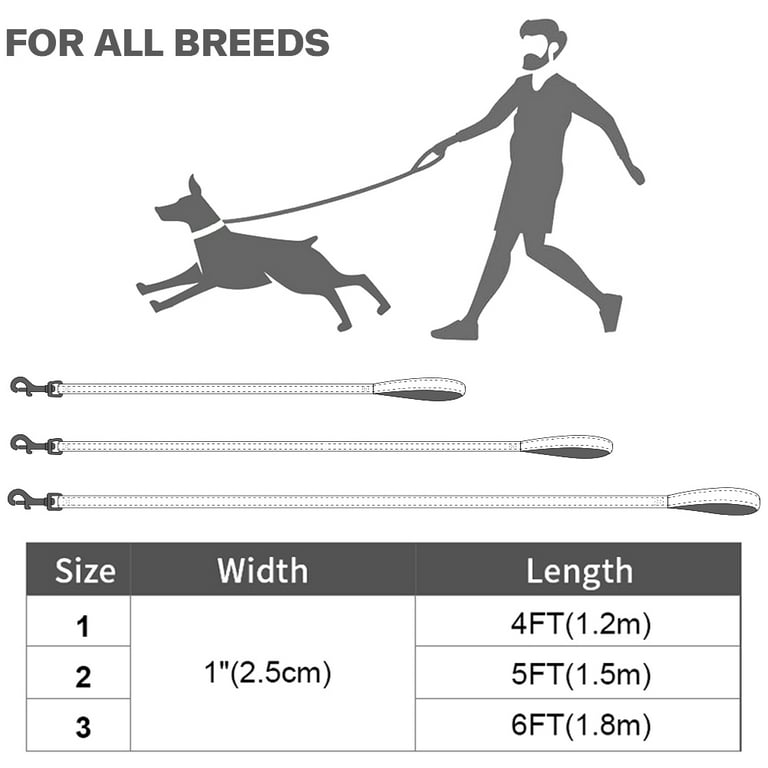 4 ft cheap dog leash