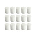 thumbnail image 1 of Miangastore Hydroponic Sponge for Planting Seedlings White Clean and SpaceSaving 100PCS 19mm, 1 of 8