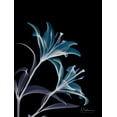 thumbnail image 2 of Koetsier, Albert 19x24 White Modern Wood Framed Museum Art Print Titled - Lily L145, 2 of 4