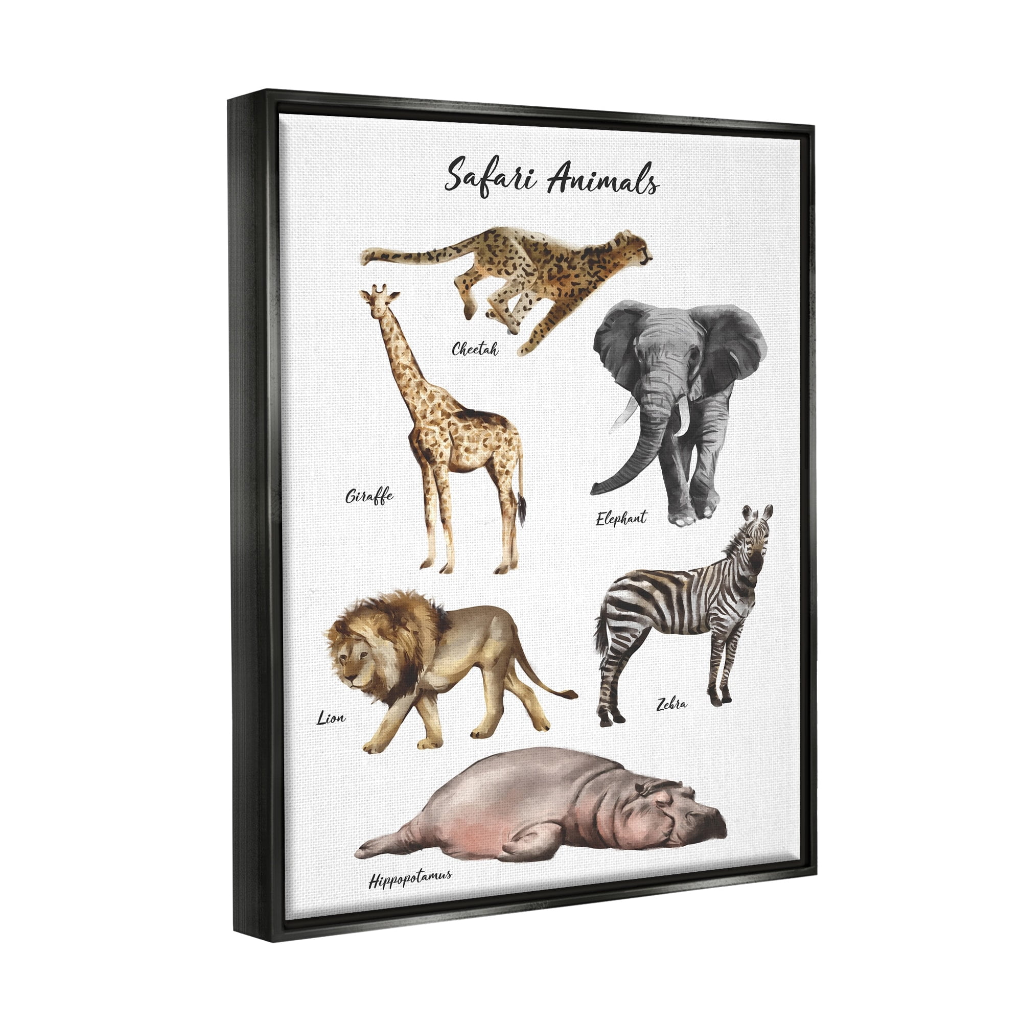 Stupell Industries Safari Animal Chart Playful Watercolor Illustrations Jet Black Framed Floating Canvas Wall Art, 24x30, by Ziwei Li