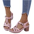 thumbnail image 3 of Moda mujer diapositiva ahueca hacia fuera cómodas sandalias de tacón alto playa zapatos casuales Wmkox8yii hfjk55, 3 of 9