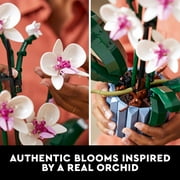 LEGO Botanicals Orchid - Artificial, Fake Indoor Flowers Building Set for Home, Kitchen, Desk Decoration, Adults Ages 18+ Unique Birthday Gift Idea - 10311
