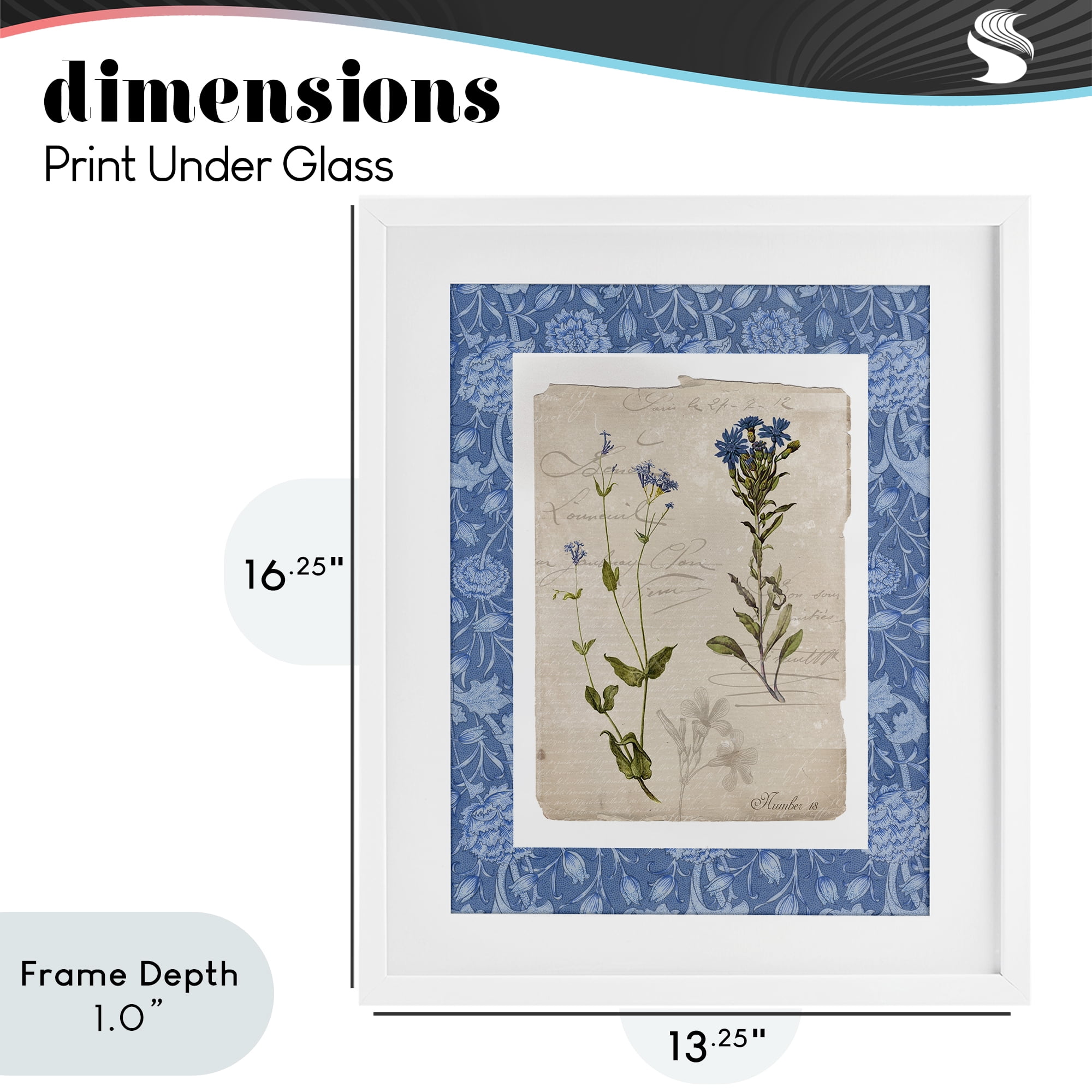 Stupell Industries Blue Vintage Botanicals White Framed Print Under Glass, design by Livi Finn
