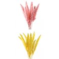 thumbnail image 1 of 30 Flores Secas de Caña de Hierba de Pampa para , Decoración Bohemia, , Arreglo Floral, 1 of 9