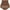 Brown-panties, variant on Tummy Control Thong Shapewear for Women High Waist Trainer Body Shaper Briefs Underwear