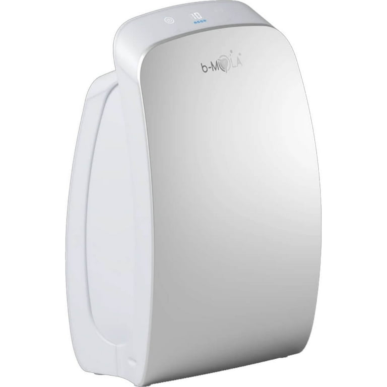 B mola sale air purifier review