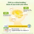 thumbnail image 4 of Biobor Omega 3 Gummies, Algal Oil DHA Gummies for Brain Eyes & Immunity Support, Lemon Orange, 4 of 7