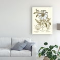 thumbnail image 3 of Trademark Fine Art 'Spa Peonies I' Canvas Art by Basilius Besler, 3 of 3