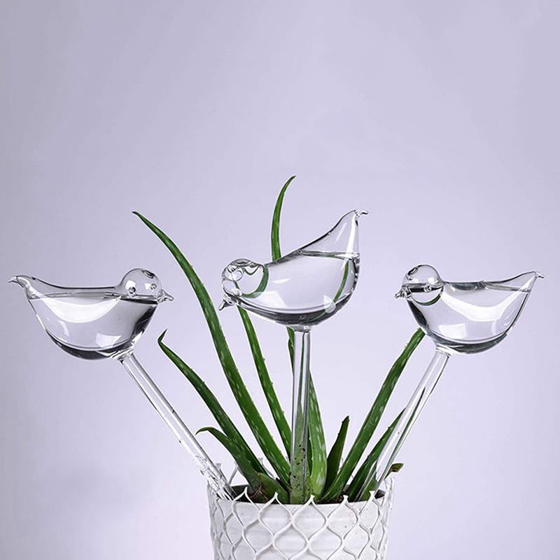 3 Pack Plant Waterer Self Watering Globes Bird Shape Clear Glass Aqua Bulbs 