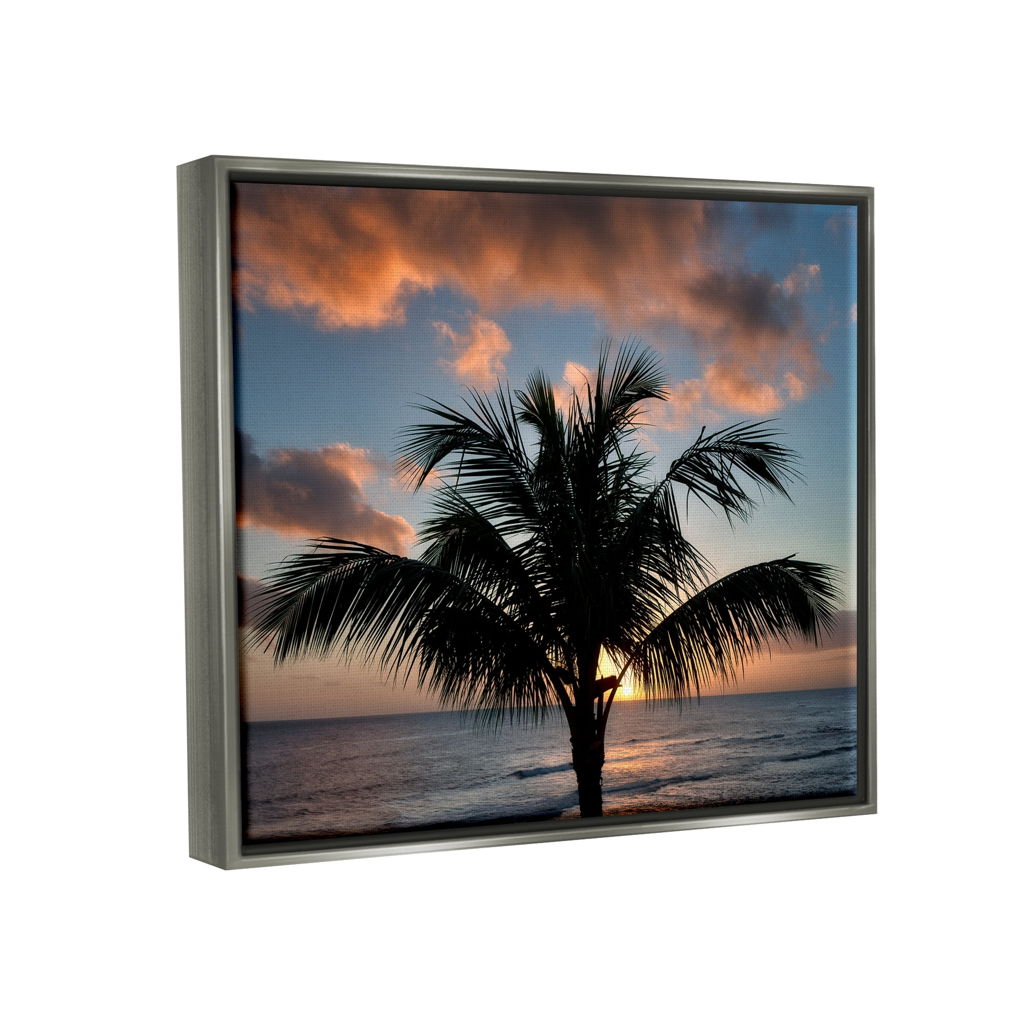 Stupell Industries Tropical Palm Photography Nature Photography Gray Floater Framed Art Print Wall Art, 31 x 25