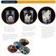 thumbnail image 5 of Calendario de Adviento de Dinosaurios 2021 Mingsheng con 24 Piezas de Juguetes de Animales, 5 of 5