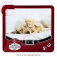 thumbnail image 4 of LARAINE Picture Photo Frame 5x7 Metal Dog High Definition Glass Display Pictures for Table Top Home Decorative Christmas Holiday Gift (Red (7x5)), 4 of 7
