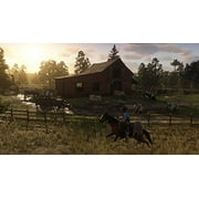 Red Dead Redemption 2 (PS4)