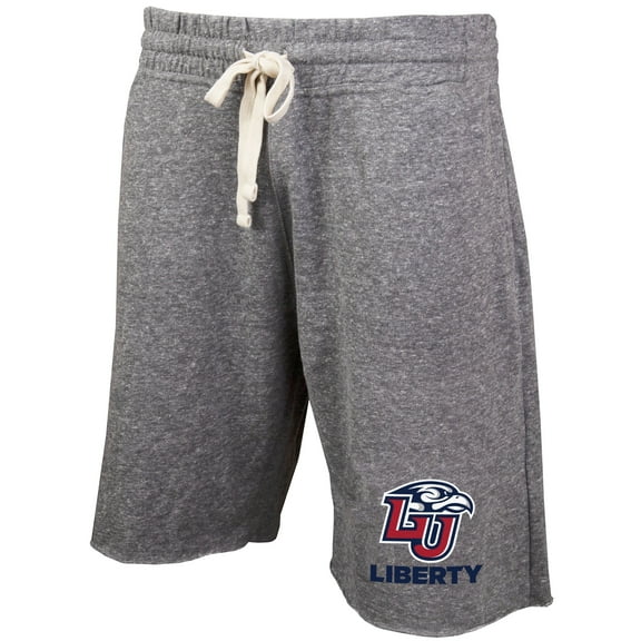 Men's Concepts Sport Gray Liberty Flames Mainstream Terry Shorts